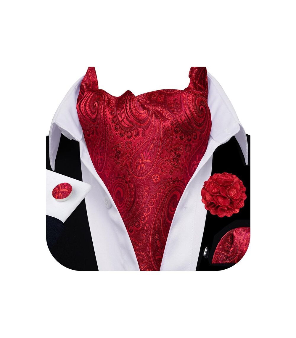 7850 Ascot Tie Cravat Paisley Red Scarf Self Ties Pocket Square Cufflinks